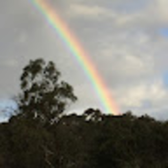 Meet your Posher, Simone - Picture 2 of 2